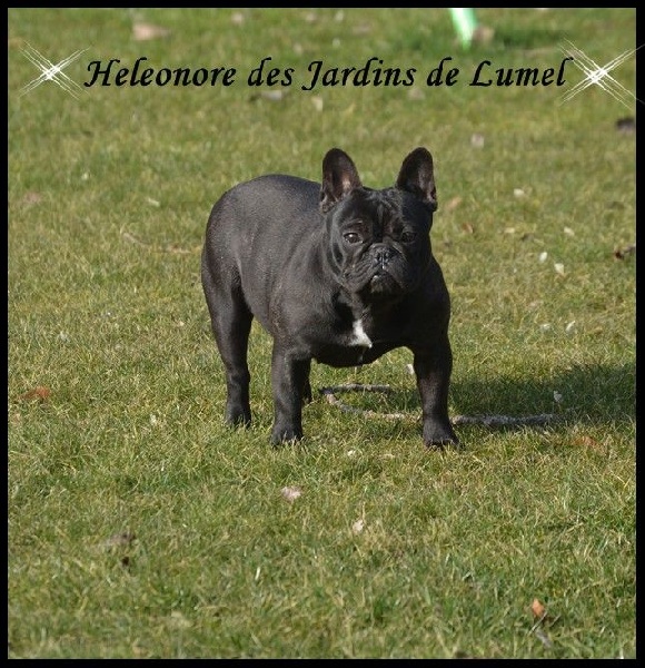 Heleonore Des Jardins De Lumel