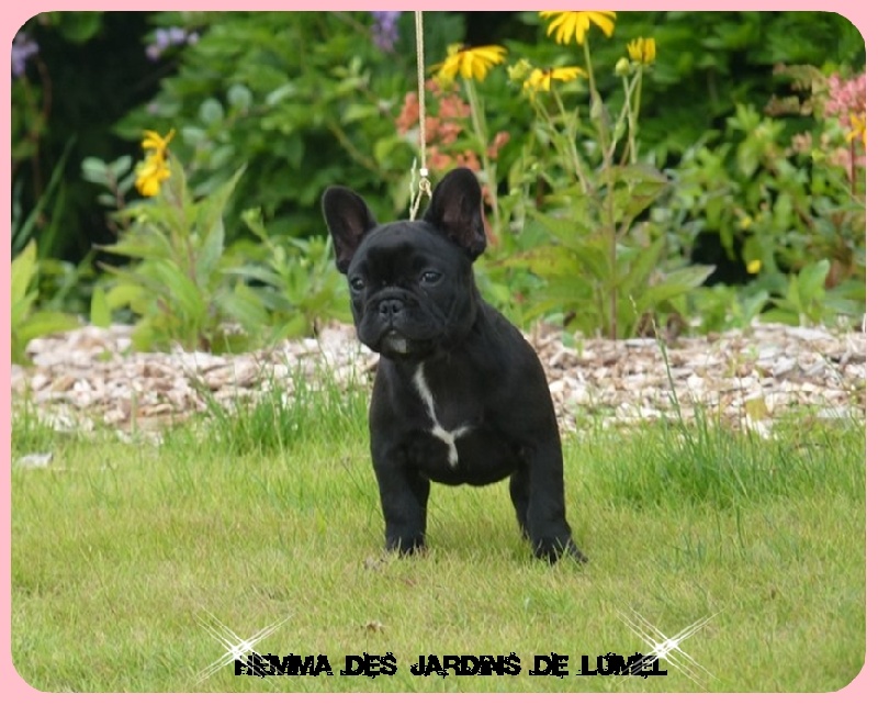 Hemma Des Jardins De Lumel