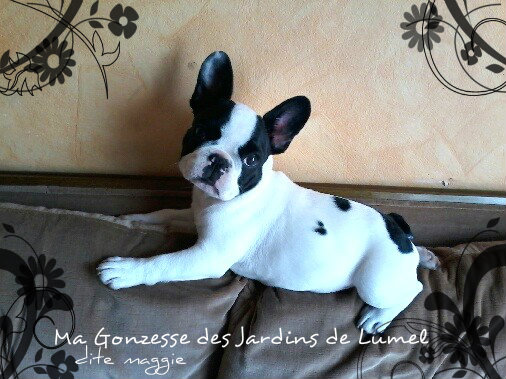 Maggie Des Jardins De Lumel